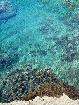 Coral reef and blue sea. turquoise crystal clear water. Adriatic sea. Mediterranean coast.
