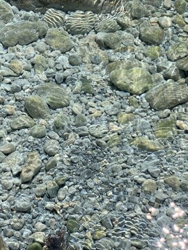 Crystal clear sea water. Pebble seabed of Adriatic. Mediterranean coast. Sea pebbles and stones. Summer vacation on Montenegro. Health and relaxation. Pure transparent water.