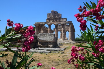 Paestum - Il tempio di Atena 