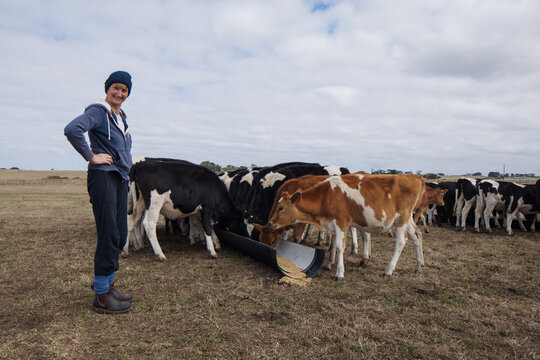 Farmer feeding dairy herd grain