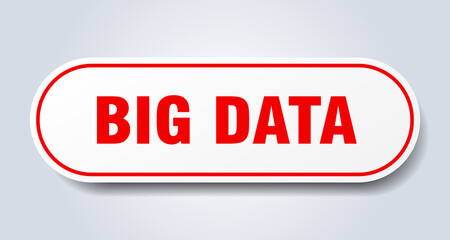 big data sign. rounded isolated button. white sticker