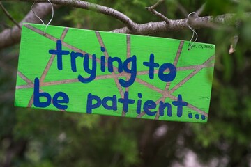 Covid-19 inspired yard art