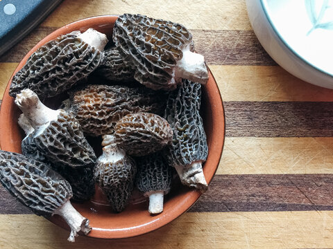 Bowl with morels