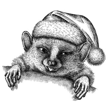 black and white engrave isolated tarsier illustration