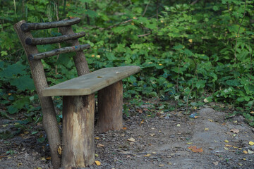 Naklejka premium A wooden bench in the forest of stumps and branches