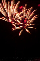 Festive fireworks in the night sky.