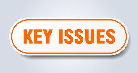 key issues sign. rounded isolated button. white sticker