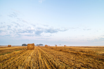 Bales in the field 