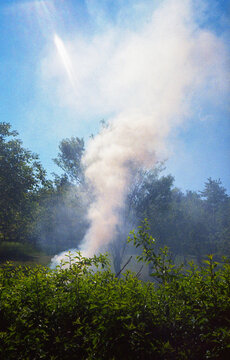 White smoke in the nature