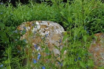 Grave stone in the grass