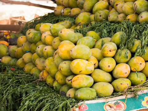 Mangoes for sale on a Fruit Cart in Quetta