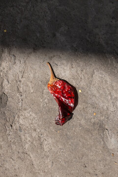 Red Hot Chilli Pepper