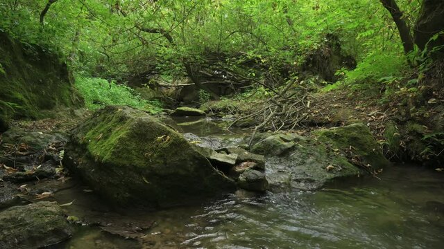 Streaming water in Bechir's Gorge near Soroca, Moldova