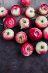 Ruddy little apples. Autumn harvest of fruits on a dark background.