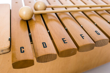 The xylophone and two mallets on the white background
