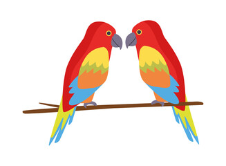 wild tropical parrots birds nature icon