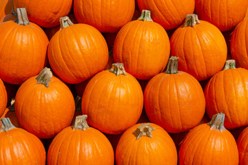 Stacked pumpkins at the farmers' market. Pumpkins for background.
