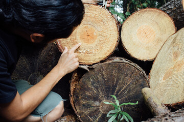 Man pointing at tree stump