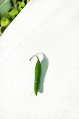 Zielona papryka chili, na jasnym tle, pikantna przyprawa. - obrazy, fototapety, plakaty