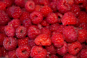 View of ripe red raspberries. 