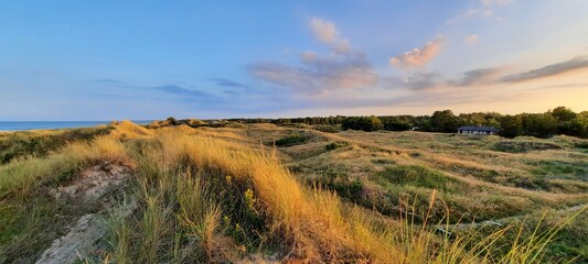 Dänemark Strand, Dünen