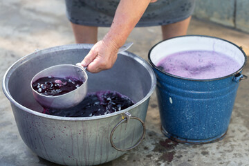 The winemaker pours grape juice for transportation into barrels.