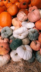 pumpkins in a market