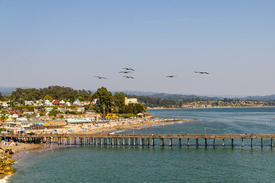 A flock of pelicans fly over the beach at Capitola.