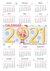 Calf. Bull. 2021 Calendar. Vector calendar, planner diary. Bull symbol of New Year. Little calf