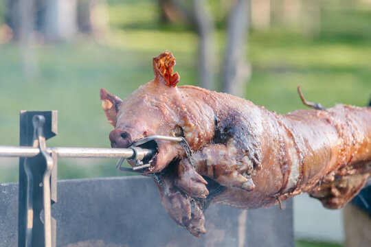 pig on a spit barbeque, just over 4 hours of cooking time