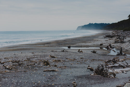 Driftwood on a beach on a cloudy and windy day