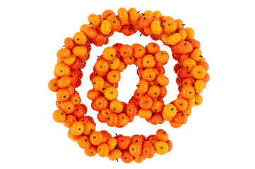 Email symbol from Pumpkins. 3D rendering