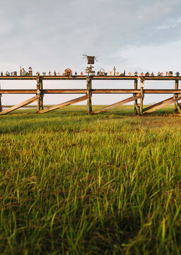 Got Birdhouses?