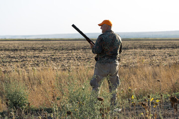 Duck hunter with shotgun walking through a meadow. .Rear view of a man with a weapon in his hands.