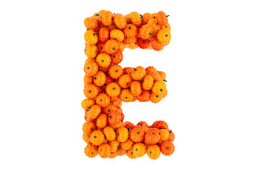 Letter E from Pumpkins. 3D rendering