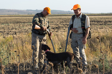 Duck hunters with shotgun walking through a meadow.
