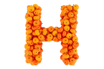 Letter H from Pumpkins. 3D rendering