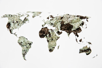 Conceptual photo of fungus on a tree bark through a stencil with world map