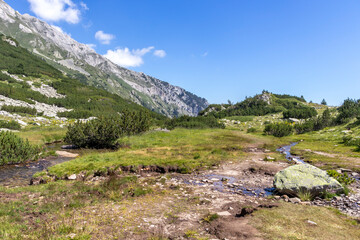 Obraz premium Banderitsa River at Pirin Mountain, Bulgaria
