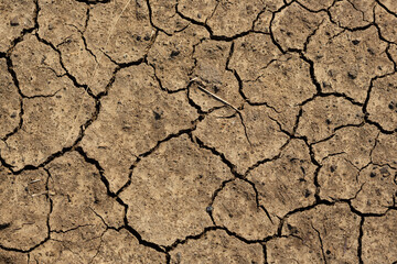 Texture of cracked dried soil. Dry ground with cracks. Brown rough surface of the soil during summer drought. Great for background and design. Ecology, climate change and global warming on Earth.