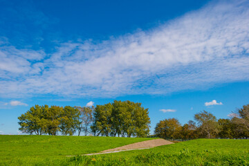Dike in a green grassy field in sunlight under a blue sky in autumn, Almere, Flevoland, The Netherlands, September 24, 2020
