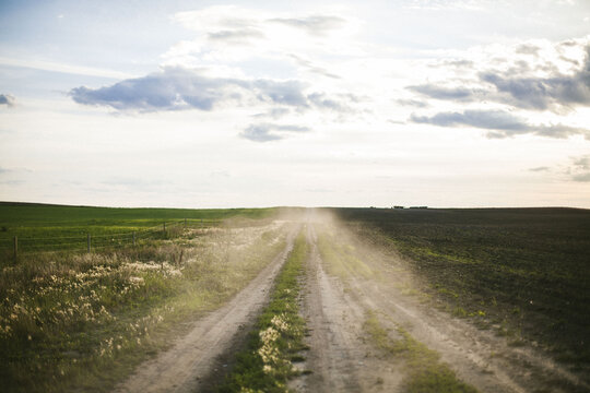 Dusty roads take me home.
