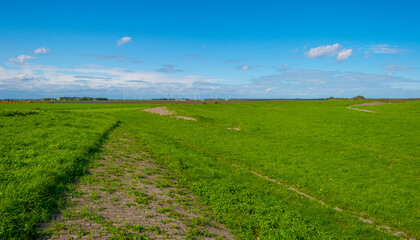 Fototapeta na wymiar Dike in a green grassy field in sunlight under a blue sky in autumn, Almere, Flevoland, The Netherlands, September 24, 2020 