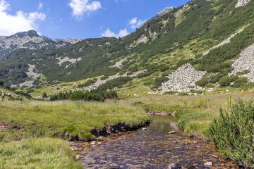 Banderitsa River at Pirin Mountain, Bulgaria