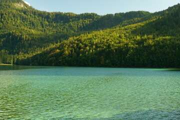 View on alpine lake (Alpsee, Allgäu, neuschwanstein castle) on autumn day