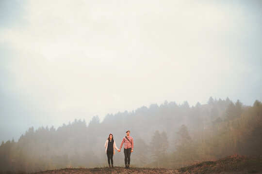 in the fog, in front of the forest