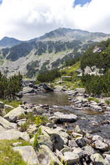 Obraz premium Banderitsa River at Pirin Mountain, Bulgaria