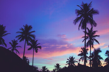 Summer silhouetted palm trees pattern during beautiful purple sunset