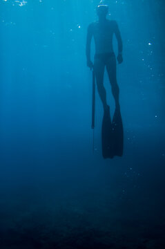 Diver Hunter Emerging To The Surface