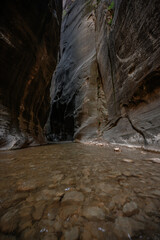 Virgin River Rushes Over Rocks Through The Narrows
